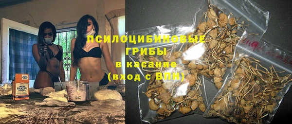 тгк Арсеньев