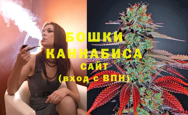 тгк Арсеньев